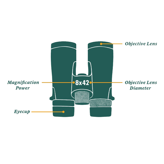 What is important when buying binoculars?